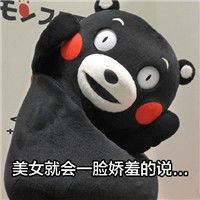  微信熊本熊带字表情包从古至今全都是套路