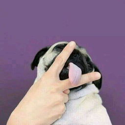  这个是情头嘛求另一张
