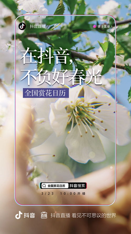  罗永浩与抖音达成合作易烊千玺牵手可爱多,上线独角兽冰淇淋丨面朝资讯