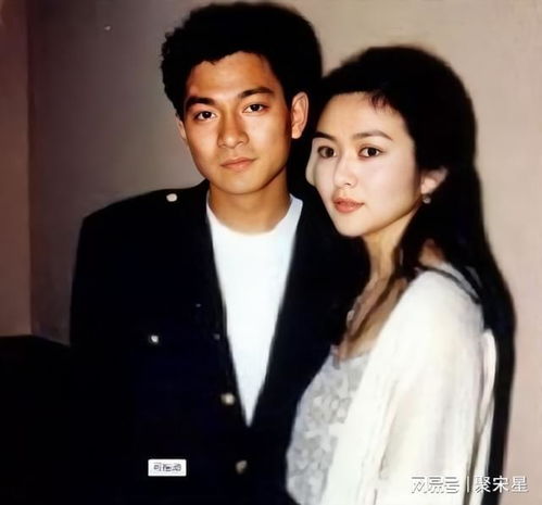  刘德华情史梅艳芳陈玉莲关之琳朱丽倩,喻可欣林安琪