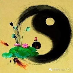  道家改运秘本,有意想不到的惊喜