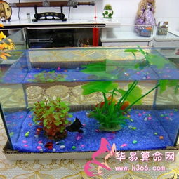  客厅风水鱼缸如何摆放