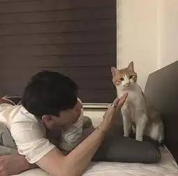  鹿辞视频直播全集鹿辞资料大全yy官方