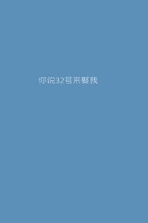  纯背景色文字qq皮肤图片你说32号来娶我