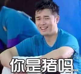  玩游戏林更新被王思聪骂,鹿晗自黑改名刘壮实