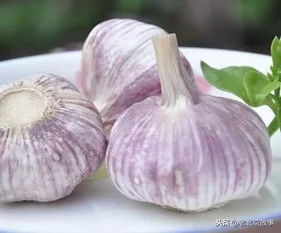 老字号六必居做糖蒜为什么没秘方