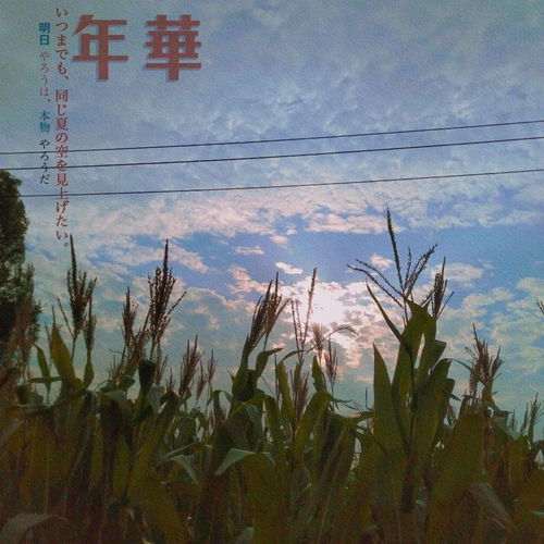  朋友圈背景图