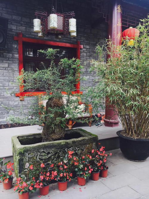  古代庭院中为何要摆缸藏风聚气,得水为上