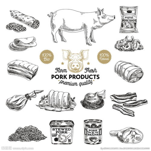  猪肉手绘素描矢量设计素材图片
