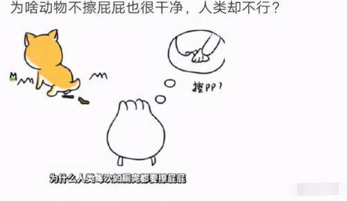  为啥动物们不擦屁屁也很干净,人类却不行太精辟了