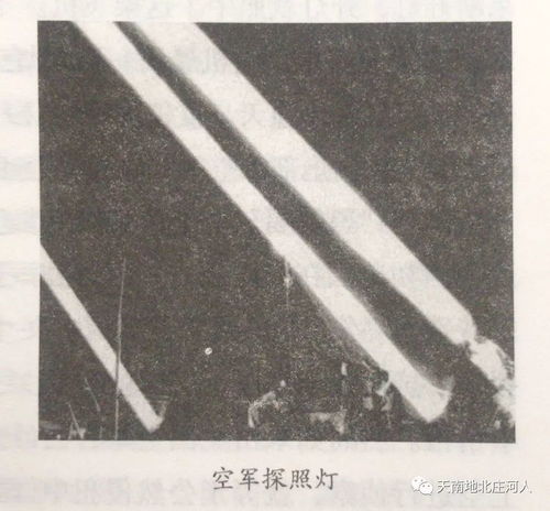  黑蝙蝠坠落花园口始末