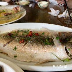  春熙饭店的钱塘江鲻鱼好不好吃用户评价口味怎么样海宁市美食钱塘江鲻鱼实拍图片大众点评