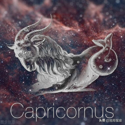  决定人生高度的星座是谁9宫射手,10宫摩羯座,11宫水瓶座