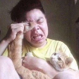  今日神段丨你永远不知道,汉字在别人眼里有多么魔性......