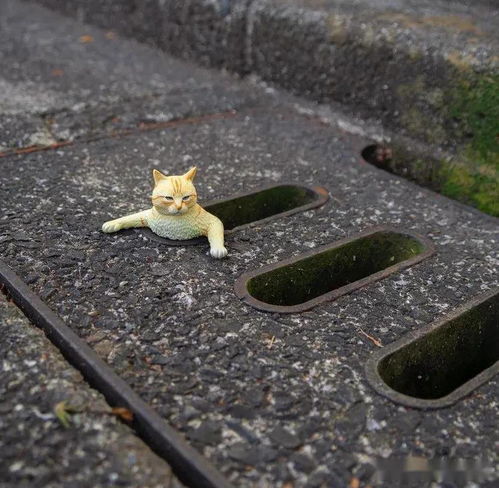  脑洞清奇的猫狗动物手办
