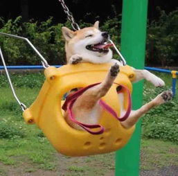 最不像情侣的情侣头像火了,看到第二组,00后都笑喷了 最不像情侣的情侣头像火了,看到第二组,00后都笑喷了