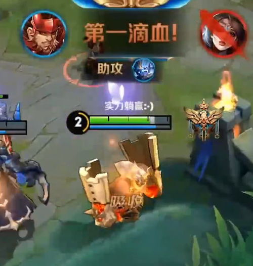  王者荣耀强力坦克无人问津,廉颇表示非常无奈