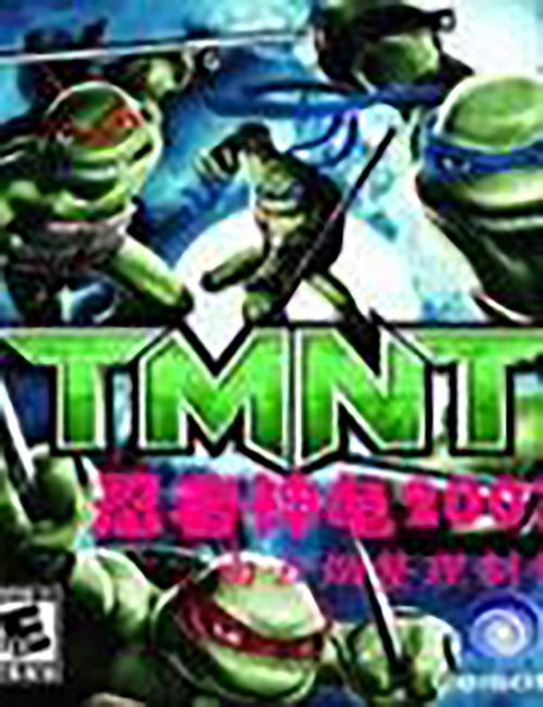  真忍者神龟2007