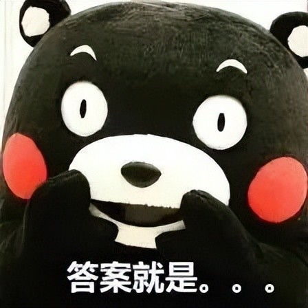 熊本熊头像不带字姐妹