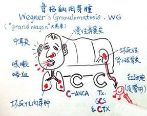  考试季学生自制公式符贴满教学楼网友太魔性