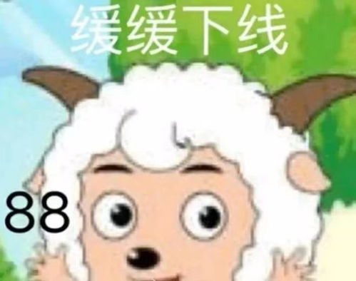  假装客户投诉公司忘记匿名...哈哈哈被网友经历笑拉了