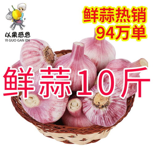  现挖新鲜大蒜头批发10斤5斤2斤红皮紫皮大蒜嫩蒜可腌糖蒜新鲜蔬菜