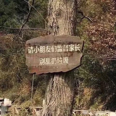  有人在用文字胡整