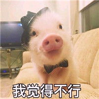  粉嫩小猪猪表情包大全2018我爱工作工资使我又白又胖腾牛个性网