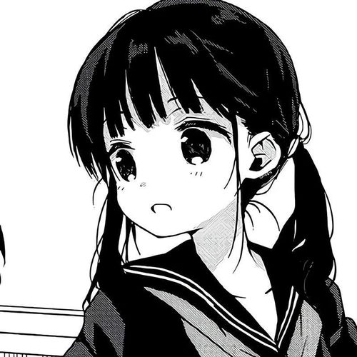  精选优质黑白动漫女头