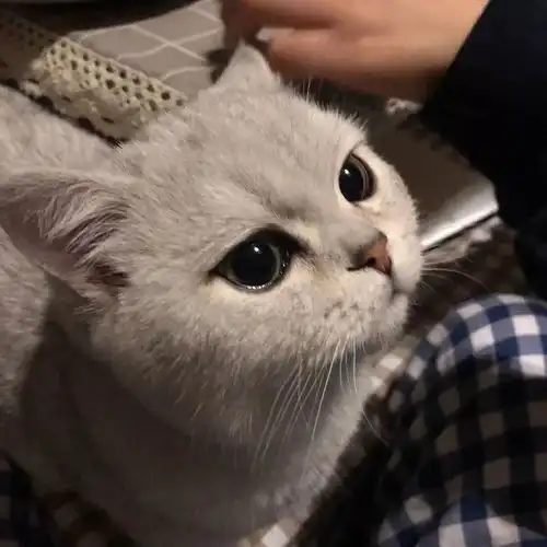  一组背景图清单