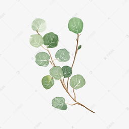  水彩植物绿叶手绘风小清新素材图片免费下载高清psd千库网图片编号11377432