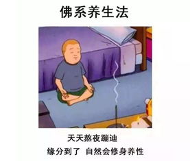  90后想要佛系养生,就是这么任性