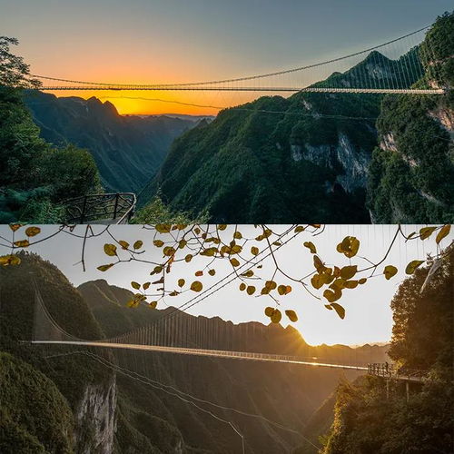  为什么都说冬天总要来一次巴山大峡谷呢