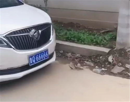  最牛婚车队,不乏路虎奔驰,全五连号,唯独没九五之尊