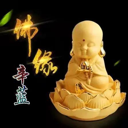 代表信佛的微信头像佛缘