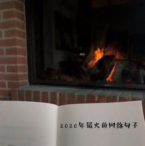  据说2020年最火的网络句子