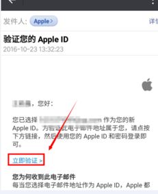  iphone设置id密码有什么要求