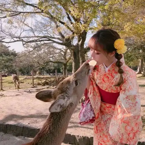 ins治愈系仙女头像越南