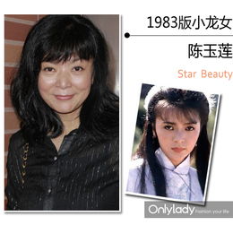  新神雕侠侣将播7任小龙女谁是易老红颜