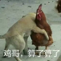  明明有手有脚,竟做出这种事,他们的良心不会痛吗