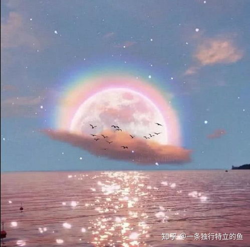  高三了,想忘记一个人,有什么办法