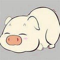  属猪本命年头像微信头像图片大全
