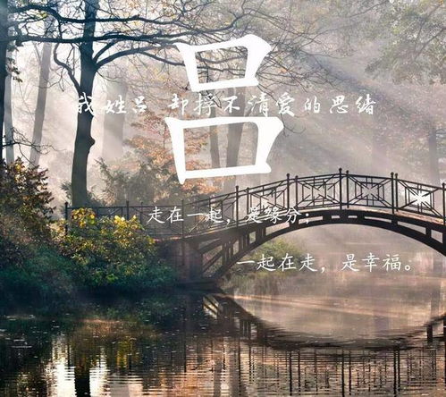  关于姓吕的一句话图片