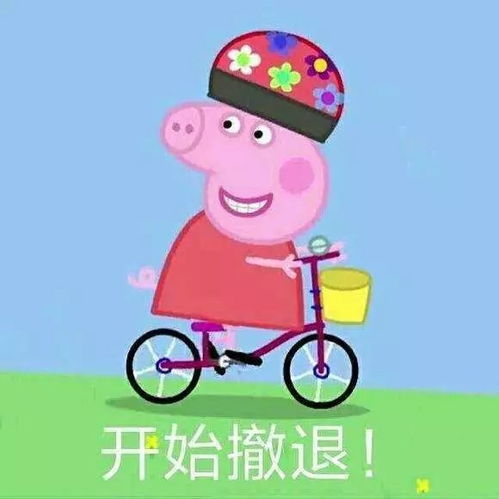 可爱猪猪头像合集情侣头
