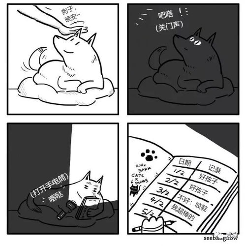  我家狗养了好多年,我一叫它就过来我家猫也养了好多年,它一叫我就过来