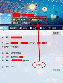 qq达人285天意思是