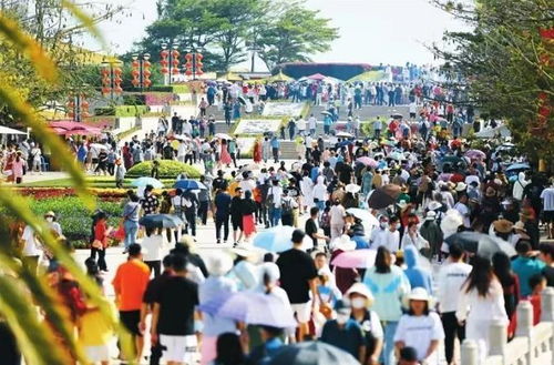  春节假期国内多省市旅游市场火爆有景区创下同期历史新高