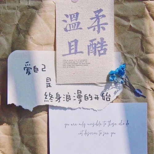  背景图丨人生苦短我他妈又懒腐烂的日子和糟糕得我简直绝配