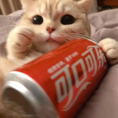 猫咪治愈系头像拟人唯美