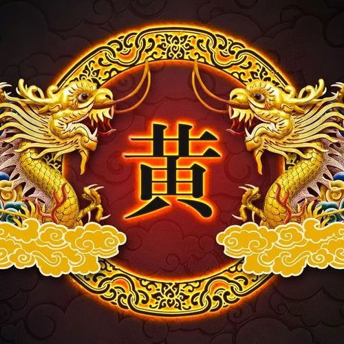 潮流头像霸气龙姓氏